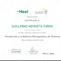 Acercar imagen: certificate 8