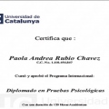 Acercar imagen: certificate 4