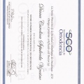 Acercar imagen: certificate 11