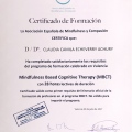 Acercar imagen: certificate 5