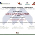 Acercar imagen: certificate 4