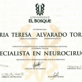 Acercar imagen: certificate 2