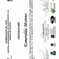 Acercar imagen: certificate 25