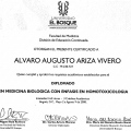 Acercar imagen: certificate 3