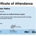 Acercar imagen: certificate 6
