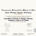 Acercar imagen: certificate 51
