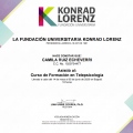 Acercar imagen: certificate 1