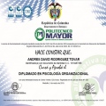 Acercar imagen: certificate 3