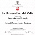 Acercar imagen: certificate 2