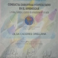 Acercar imagen: certificate 10