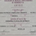 Acercar imagen: certificate 13