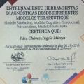 Acercar imagen: certificate 23