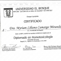 Acercar imagen: certificate 2