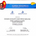 Acercar imagen: certificate 17