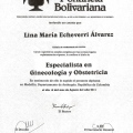 Acercar imagen: certificate 2
