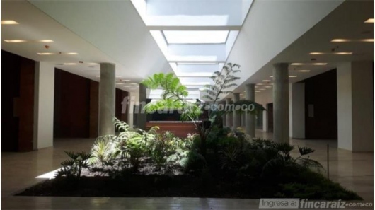 María Isabel Peláez Escobar-2