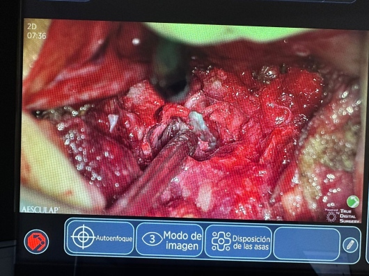 Jorge Ivan Holguin Diaz-58