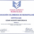 Acercar imagen: certificate 16