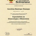 Acercar imagen: certificate 2