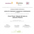 Acercar imagen: certificate 9