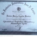 Acercar imagen: certificate 1