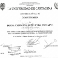 Acercar imagen: certificate 4