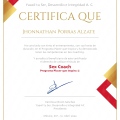 Acercar imagen: certificate 13