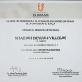 Acercar imagen: certificate 6