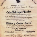 Acercar imagen: certificate 6