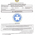 Acercar imagen: certificate 6