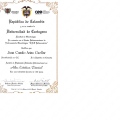 Acercar imagen: certificate 2