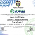 Acercar imagen: certificate 8