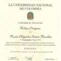 Acercar imagen: certificate 9