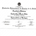 Acercar imagen: certificate 5