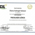 Acercar imagen: certificate 3