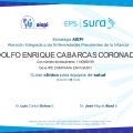 Acercar imagen: certificate 7