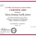 Acercar imagen: certificate 14