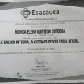 Acercar imagen: certificate 7