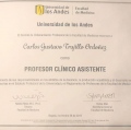 Acercar imagen: certificate 1
