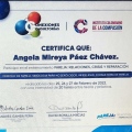 Acercar imagen: certificate 13