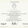 Acercar imagen: certificate 1
