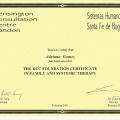 Acercar imagen: certificate 2