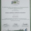 Acercar imagen: certificate 5