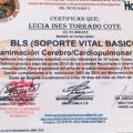 Acercar imagen: certificate 17