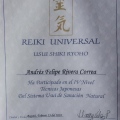 Acercar imagen: certificate 15