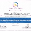 Acercar imagen: certificate 13