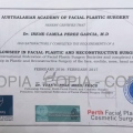 Acercar imagen: certificate 3
