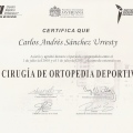 Acercar imagen: certificate 3