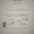 Acercar imagen: certificate 14