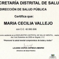 Acercar imagen: certificate 17